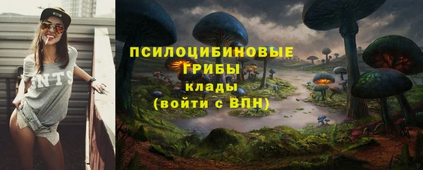 соль курить ск Вязьма